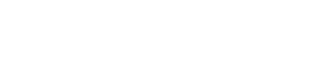 TelefonID Logo